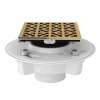 PVC 2-in x 3-in Drain Kit with 3146 Petal Decorative Cover in Italian Brass