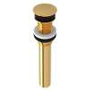 Non Slotted Touch Seal Dome Drain with 6-in Tailpiece in Italian Brass