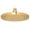 1075/8IB 8-in Rain Showerhead, Italian Brass