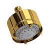 1080/8ULB 4-in 5-Function Showerhead, Unlacquered Brass