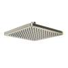 478PN 8-in Rain Showerhead, Polished Nickel