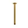 557BG 12-in Ceiling Mount Shower Arm with Round Escutcheon, Brushed Gold