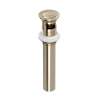 Lavatory Push Drain With Overflow, 0127DOFSTN