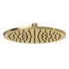 10" Rain Showerhead, 100126RS1AG