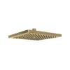 10" Rain Showerhead, 100226RS1AG