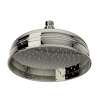 9" Rain Showerhead, 1037/8PN