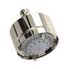 4" 5-Function Showerhead, 1080/8PN