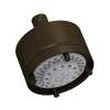 4" 5-Function Showerhead, 1080/8TCB