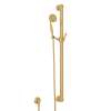 Handshower Set With 39" Grab Bar and Single Function Handshower, 1272EIB