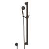 Handshower Set With 39" Grab Bar and Single Function Handshower, 1272ETCB