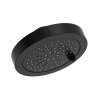 6" 6-Function Showerhead, 60126MF6MB