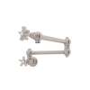 Pot Filler, A1451XSTN-2