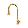 Acqui(R) Pull-Down Kitchen Faucet, A3420LMIB-2