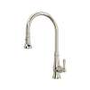 Acqui(R) Pull-Down Kitchen Faucet, A3420LMPN-2