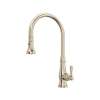Acqui(R) Pull-Down Kitchen Faucet, A3420LMSTN-2