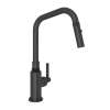 Campo(TM) Pull-Down Kitchen Faucet, A3431ILMB-2