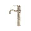 Acqui(R) Single Handle Tall Lavatory Faucet, A3672LPSTN-2
