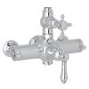Exposed Therm Valve With Volume and Temperature Control, A4917XMAPC