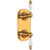 Arcana(TM) 1/2" Thermostatic Trim With Diverter, AC390OP-IB/TO