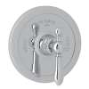 Arcana(TM) 3/4" Thermostatic Trim Without Volume Control, AC720LM-APC/TO