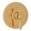 Arcana(TM) 3/4" Thermostatic Trim Without Volume Control, AC720LM-IB/TO
