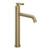 Apothecary(TM) Single Handle Tall Lavatory Faucet, AP02D1LMAG