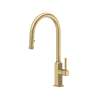 Apothecary(TM) Pull-Down Kitchen Faucet With C-Spout, AP55D1LMAG