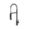 Apothecary(TM) Pre-Rinse Infinite Control Pull-Down Faucet, AP59D1LMMB