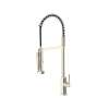 Apothecary(TM) Pre-Rinse Infinite Control Pull-Down Faucet, AP59D1LMPN