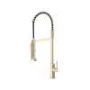 Apothecary(TM) Pre-Rinse Infinite Control Pull-Down Faucet, AP59D1LMSTN