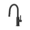 Apothecary(TM) Pull-Down Bar/Food Prep Kitchen Faucet, AP65D1LMMB