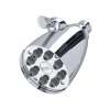 4" Multi-Function Showerhead, BI00059APC