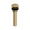 Lavatory Universal Push Drain, CC231OFWOAG