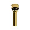 Lavatory Universal Push Drain, CC231OFWOULB
