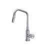 Campo(TM) Pull-Down Kitchen Faucet, CP56D1IWAPC