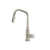 Campo(TM) Pull-Down Kitchen Faucet, CP56D1IWPN