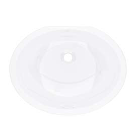 Eirene(TM) 22" x 17" Undermount Oval Lavatory Sink, ERUB2217OVWH