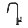 Graceline(R) Pull-Down Kitchen Faucet With U-Spout, MB7956LMMB