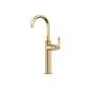 Modelle(TM) Single Handle Tall Lavatory Faucet, MD02D1LMAG