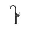 Modelle(TM) Single Handle Tall Lavatory Faucet, MD02D1LMMB
