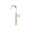 Modelle(TM) Single Handle Tall Lavatory Faucet, MD02D1LMSTN