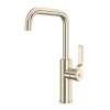 Myrina(TM) Bar/Food Prep Kitchen Faucet With U-Spout, MY61D1LMSTN