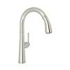 1983 Pull-Down Kitchen Faucet, R7514LMPN-2