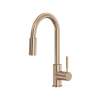 Lux(TM) Filter Kitchen Faucet, R7517VG