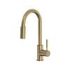 Lux(TM) Pull-Down Bar/Food Prep Kitchen Faucet, R7519AG