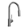 Lux(TM) Pull-Down Bar/Food Prep Kitchen Faucet, R7519APC