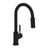 Lux(TM) Pull-Down Bar/Food Prep Kitchen Faucet, R7519MB