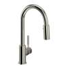 Lux(TM) Pull-Down Bar/Food Prep Kitchen Faucet, R7519PN
