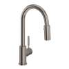 Lux(TM) Pull-Down Bar/Food Prep Kitchen Faucet, R7519STN