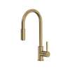 Lux(TM) Pull-Down Kitchen Faucet, R7520AG